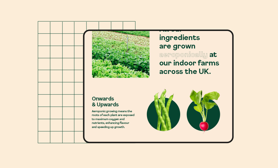 Produce page design