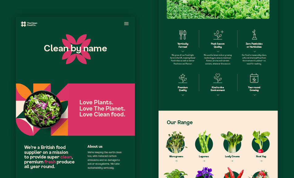 Website homepage preview