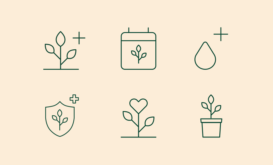 Icon assets